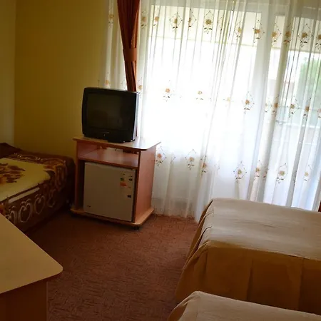 Pension Coral Baia Mare Room photo