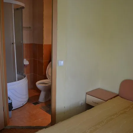 Pension Coral Baia Mare Exterior photo